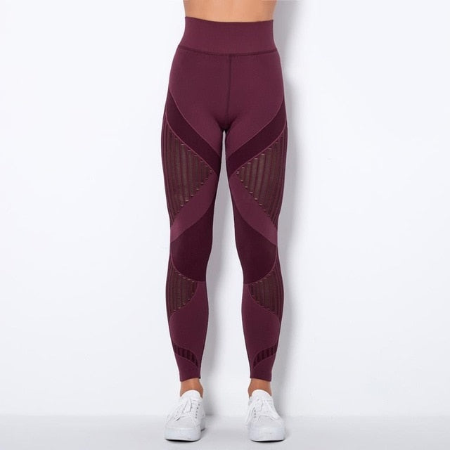 Seamless Gym Set