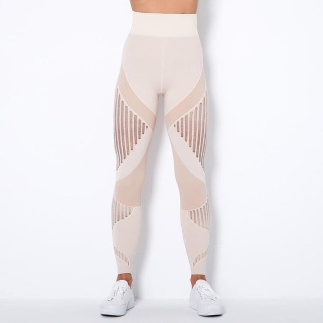 Seamless Gym Set