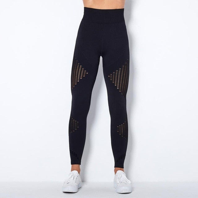 Seamless Gym Set