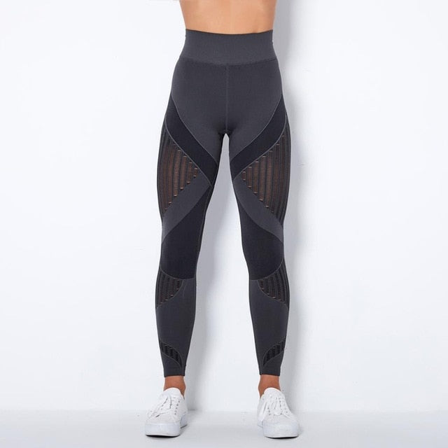 Seamless Gym Set